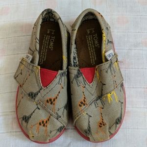 6T TOMS shoes